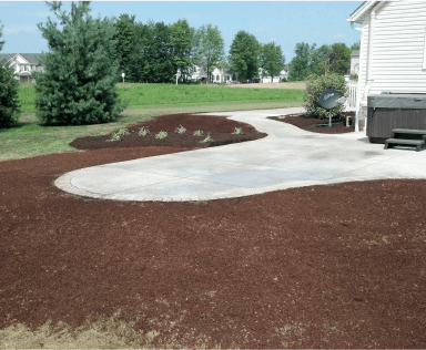 Vinecourt Landscaping